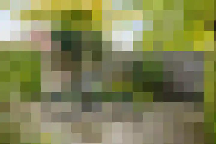 Kolkmansweg 28 Schalkhaar thumbnail 18