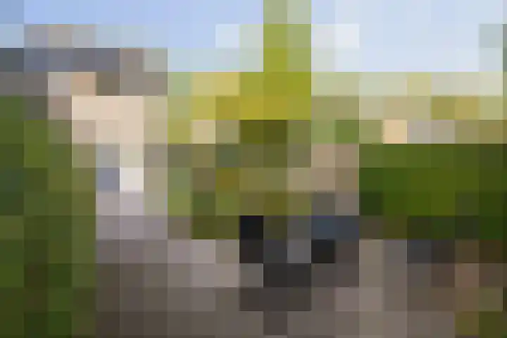 Kolkmansweg 28 Schalkhaar thumbnail 19