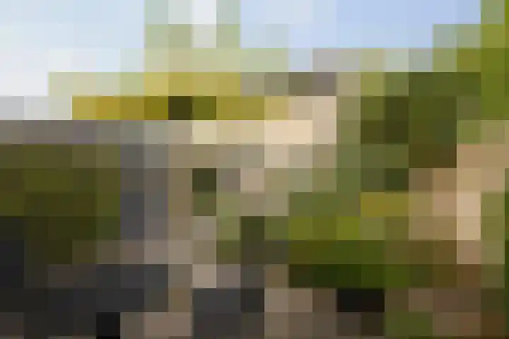 Kolkmansweg 28 Schalkhaar thumbnail 20