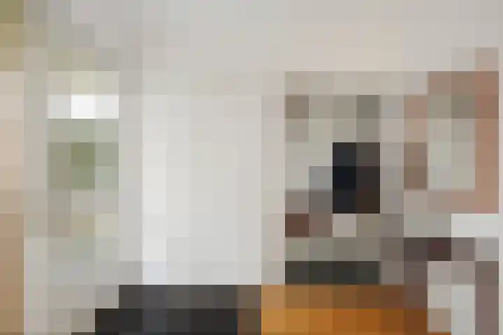 Kolkmansweg 28 Schalkhaar thumbnail 23