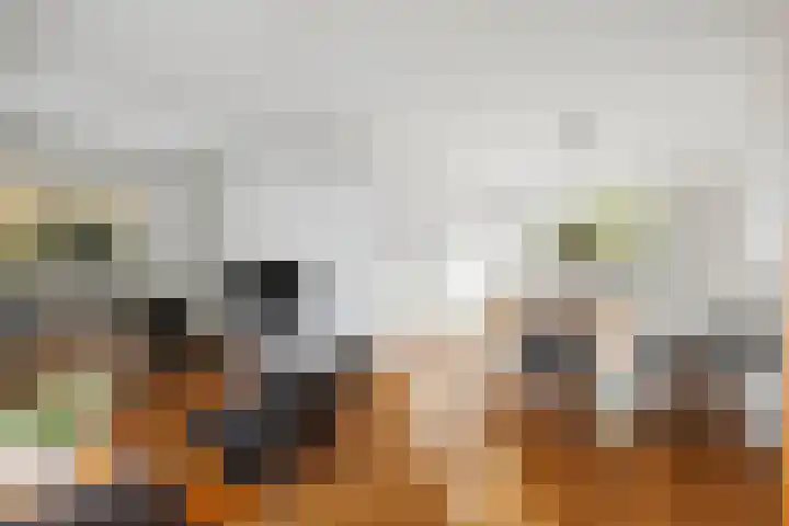 Kolkmansweg 28 Schalkhaar foto 3