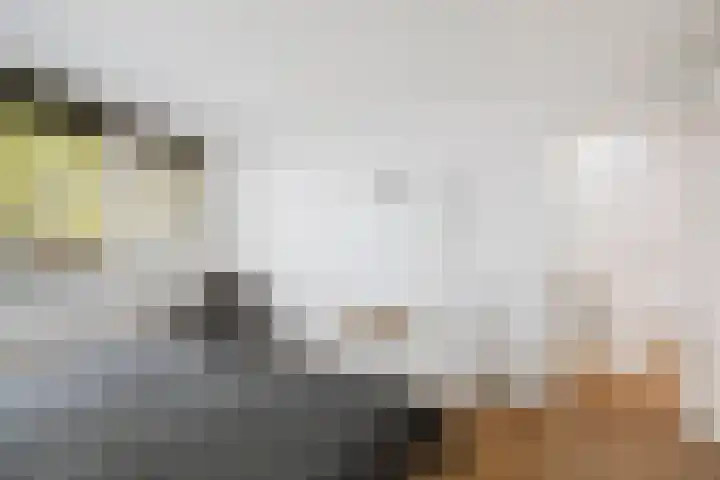 Kolkmansweg 28 Schalkhaar thumbnail 30