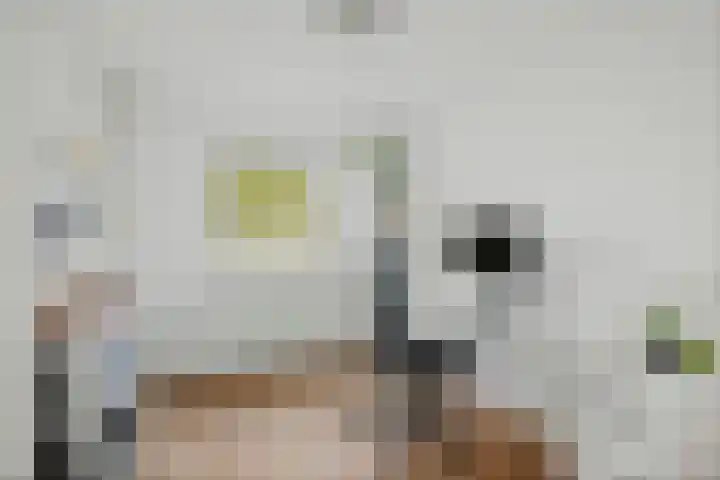 Kolkmansweg 28 Schalkhaar thumbnail 32