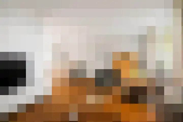 Kolkmansweg 28 Schalkhaar thumbnail 4
