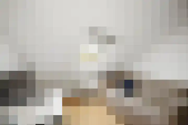 Kolkmansweg 28 Schalkhaar thumbnail 40