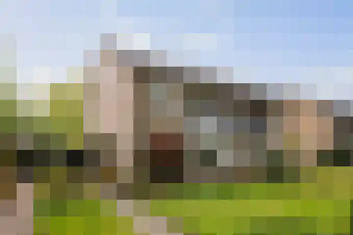 Kolkmansweg 28 Schalkhaar thumbnail 44
