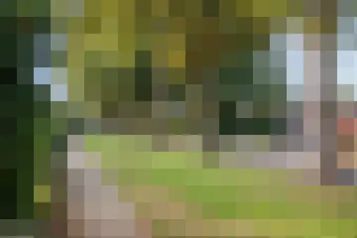 Kolkmansweg 28 Schalkhaar thumbnail 46