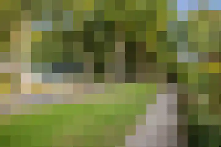 Kolkmansweg 28 Schalkhaar thumbnail 47