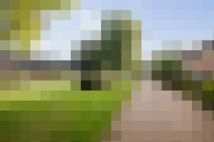 Kolkmansweg 28 Schalkhaar thumbnail 50