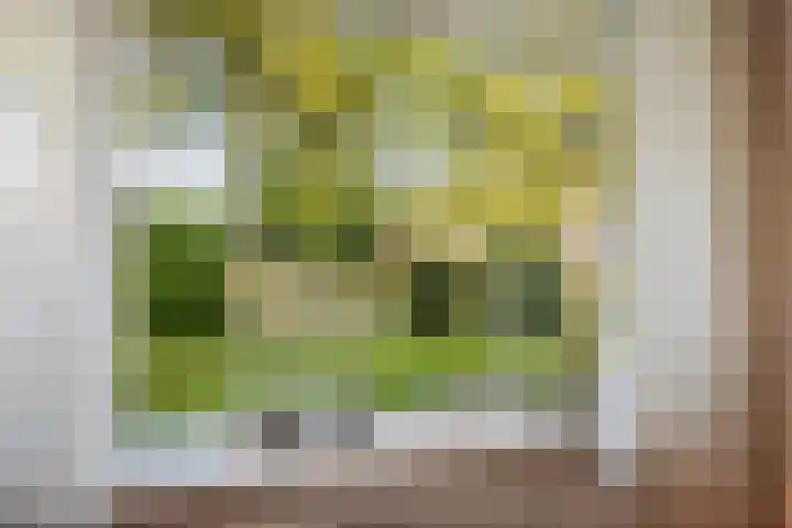 Kolkmansweg 28 Schalkhaar thumbnail 6