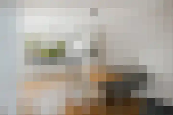 Kolkmansweg 28 Schalkhaar thumbnail 9