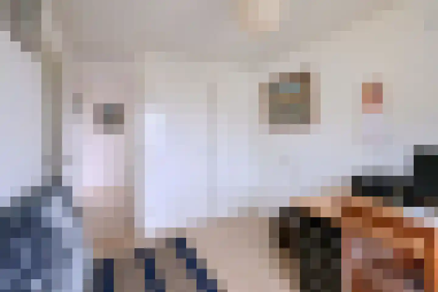 Kolkmansweg 34 Schalkhaar thumbnail 26