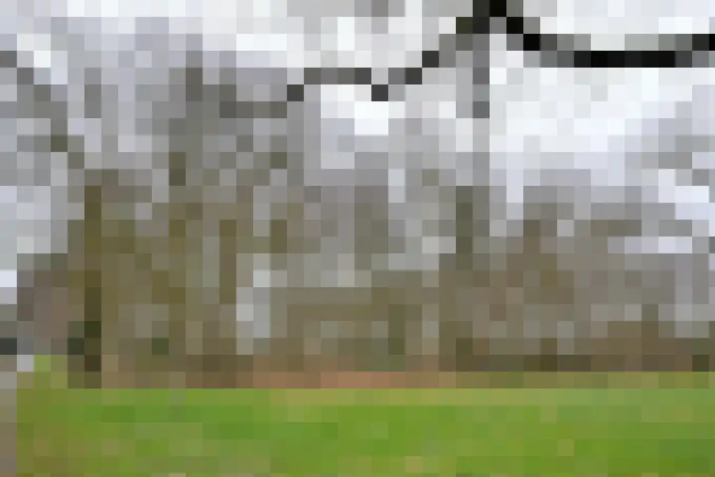 Kolkmansweg 34 Schalkhaar thumbnail 34