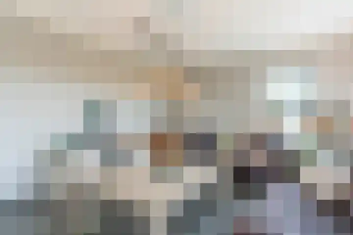 Kolkmanweg 6 Vroomshoop thumbnail 10