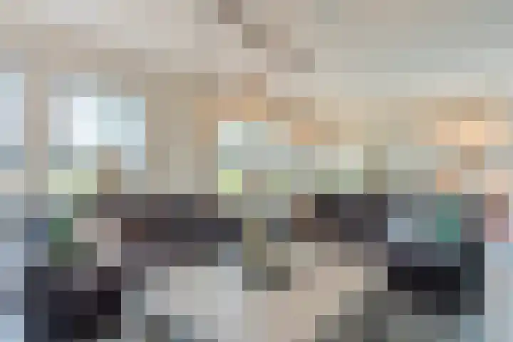 Kolkmanweg 6 Vroomshoop thumbnail 11