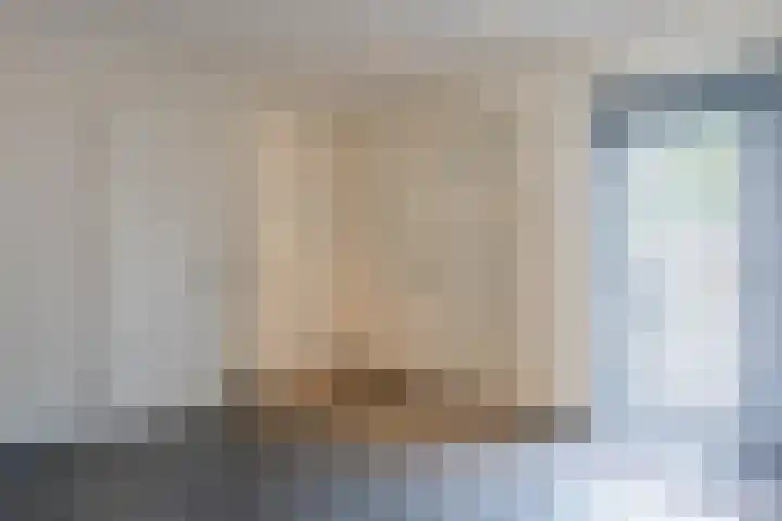 Kolkmanweg 6 Vroomshoop thumbnail 18