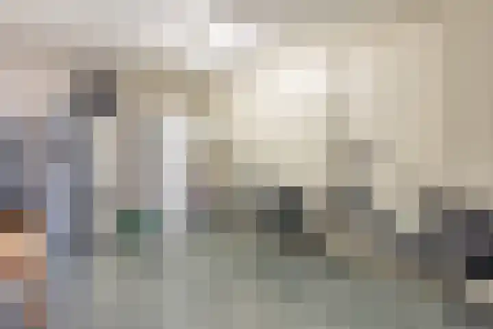 Kolkmanweg 6 Vroomshoop thumbnail 19