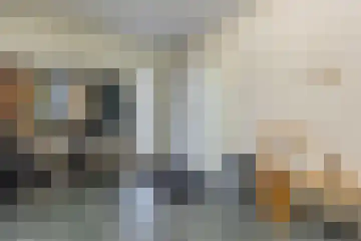 Kolkmanweg 6 Vroomshoop thumbnail 20