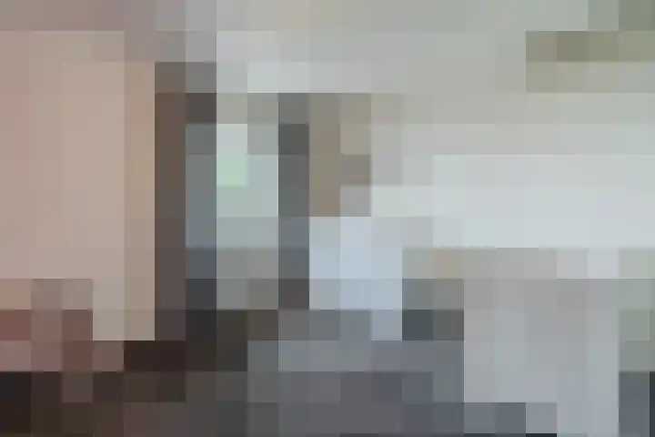 Kolkmanweg 6 Vroomshoop thumbnail 21