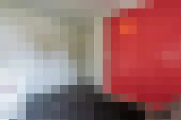 Kolkmanweg 6 Vroomshoop thumbnail 22