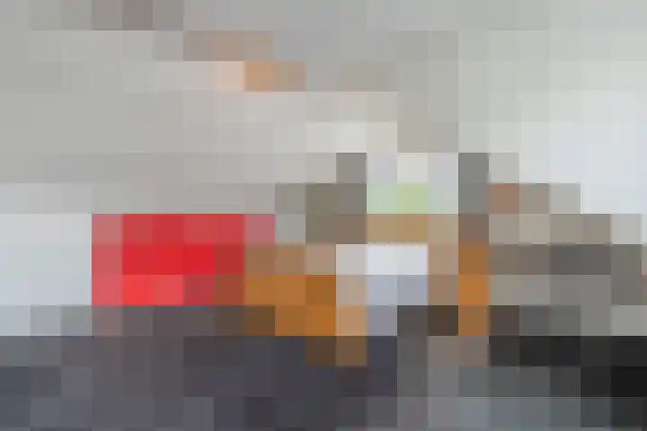 Kolkmanweg 6 Vroomshoop thumbnail 26