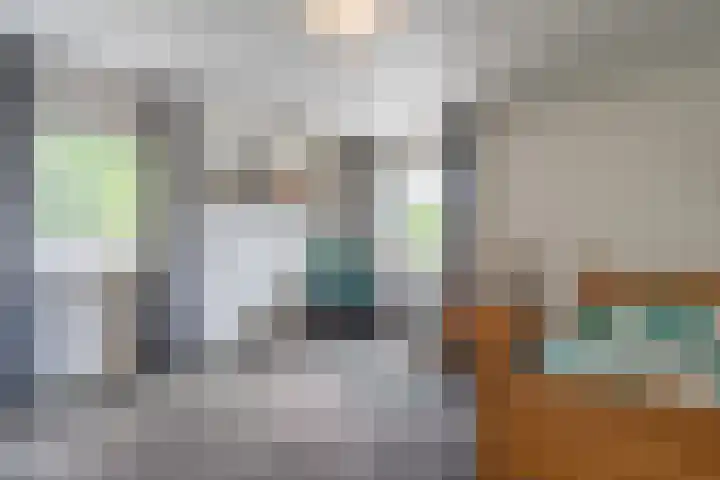 Kolkmanweg 6 Vroomshoop thumbnail 27