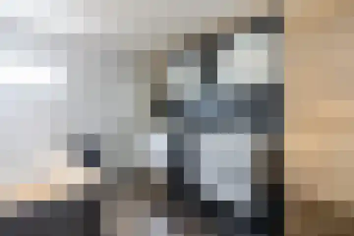 Kolkmanweg 6 Vroomshoop thumbnail 29