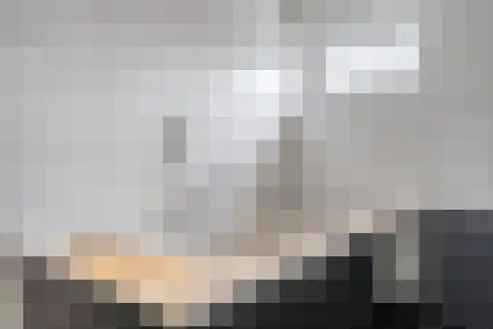Kolkmanweg 6 Vroomshoop thumbnail 30