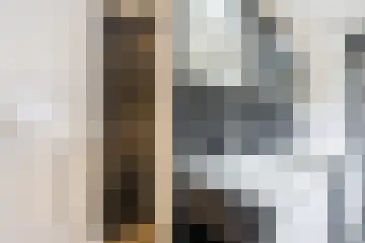 Kolkmanweg 6 Vroomshoop thumbnail 31