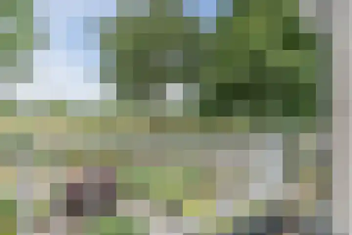 Kolkmanweg 6 Vroomshoop thumbnail 32
