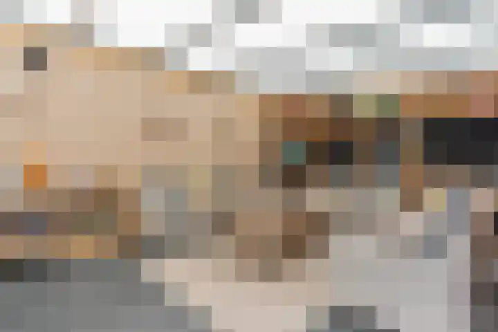 Kolkmanweg 6 Vroomshoop thumbnail 33
