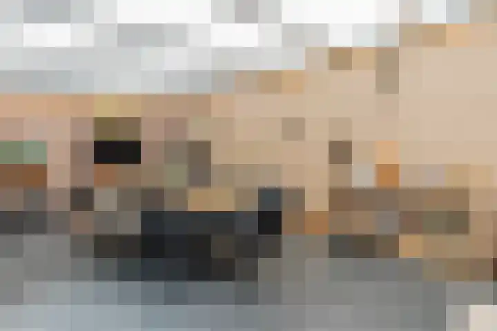 Kolkmanweg 6 Vroomshoop thumbnail 34