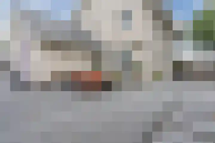 Kolkmanweg 6 Vroomshoop thumbnail 36