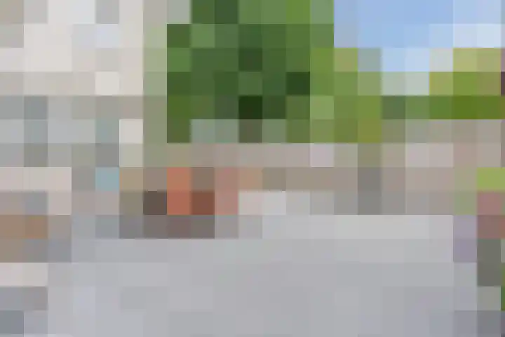 Kolkmanweg 6 Vroomshoop thumbnail 37