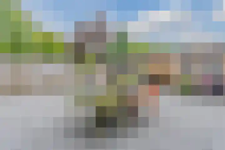 Kolkmanweg 6 Vroomshoop thumbnail 38