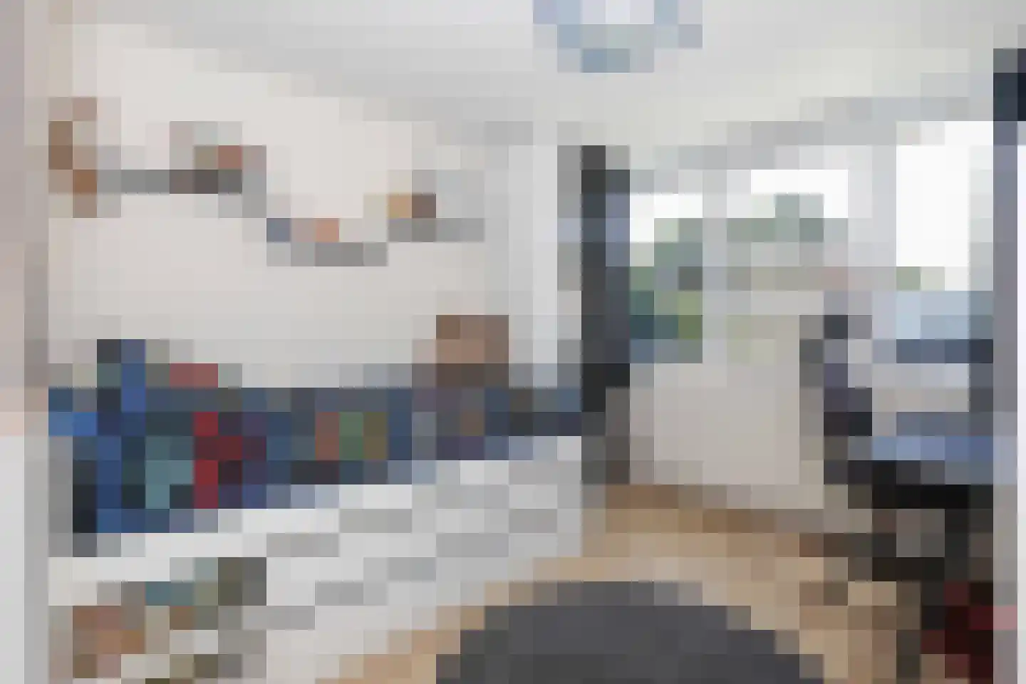 Kolkrijst 121 Hoogland thumbnail 16
