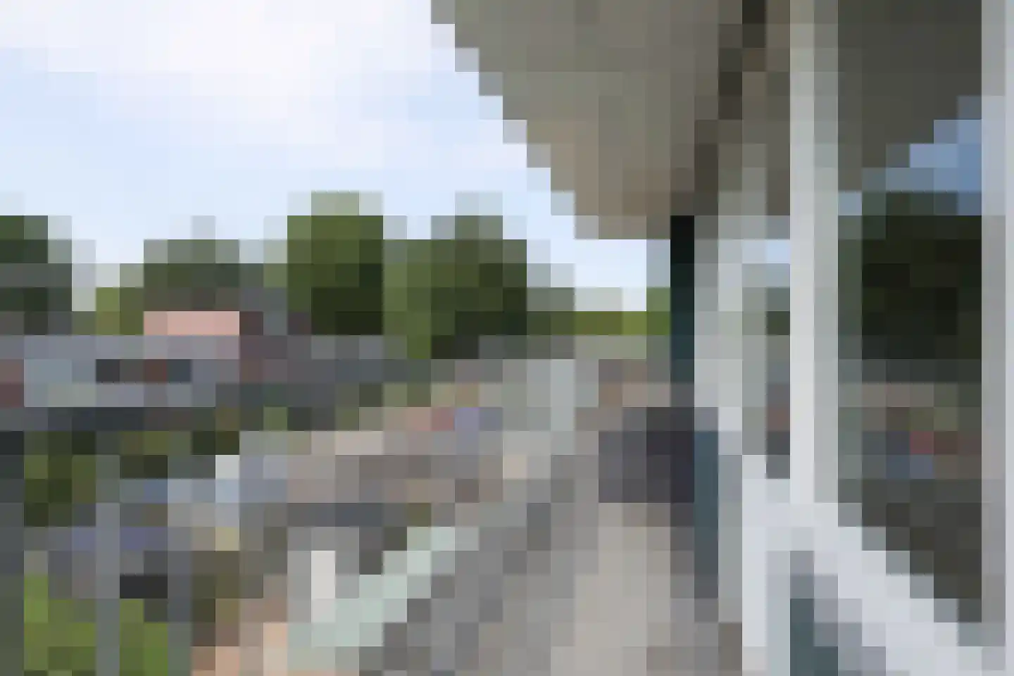 Kolkrijst 121 Hoogland thumbnail 25