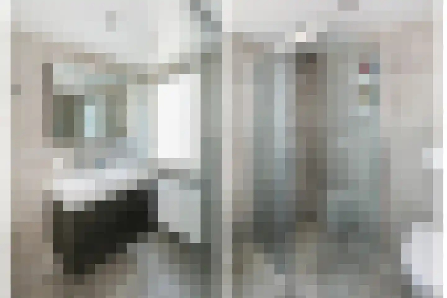 Kolkrijst 121 Hoogland thumbnail 28