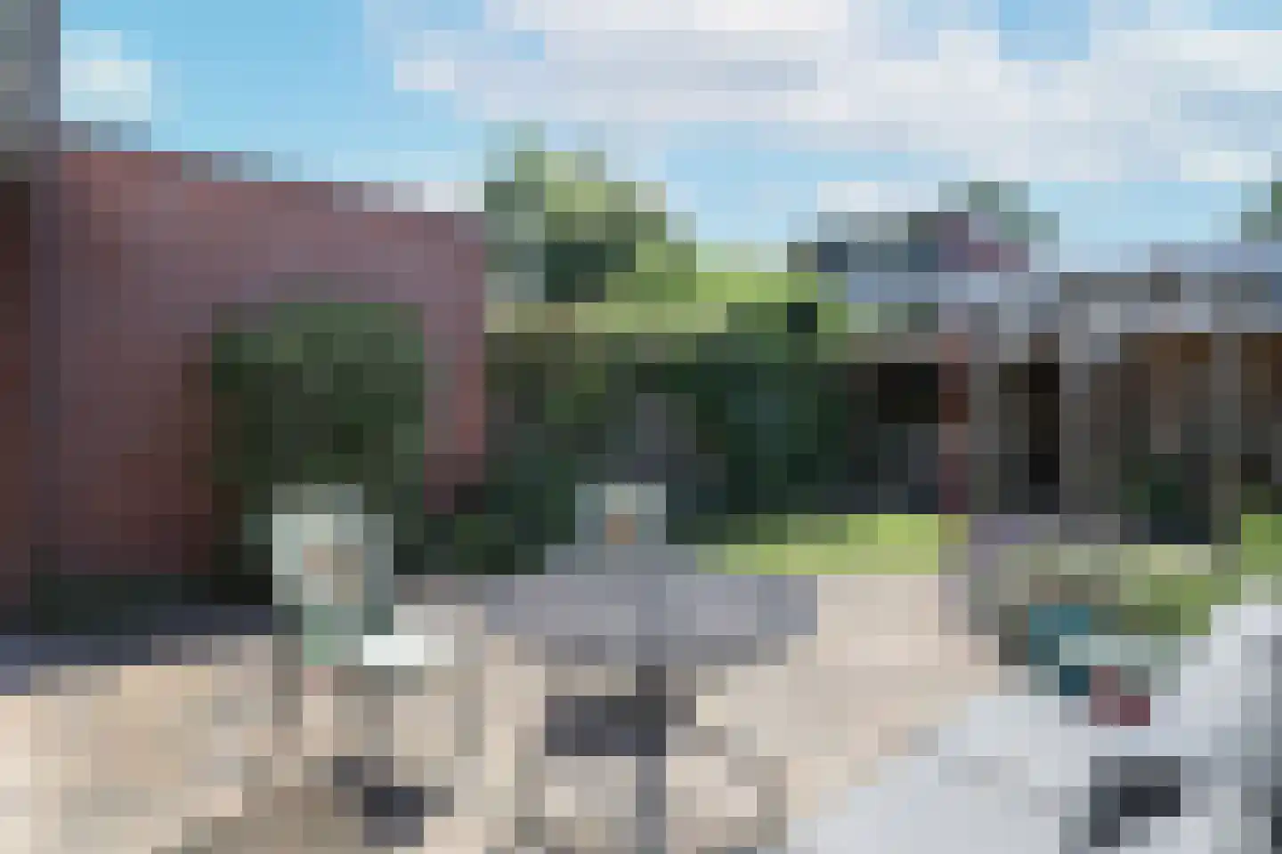 Kolkrijst 121 Hoogland thumbnail 30