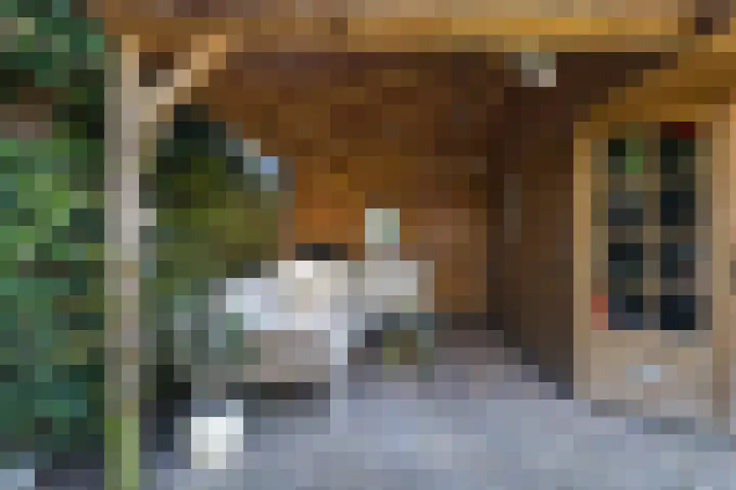 Kolkrijst 121 Hoogland thumbnail 31