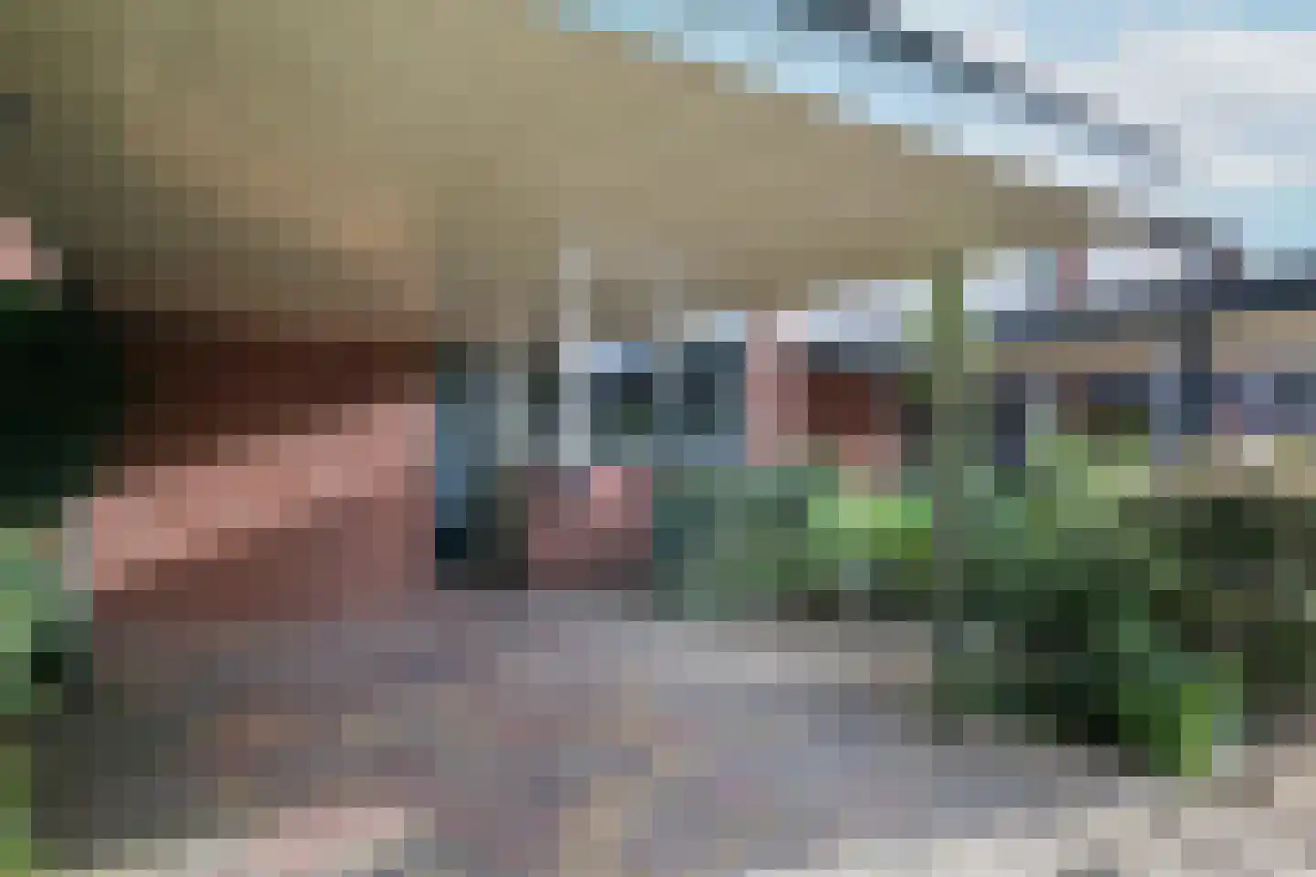 Kolkrijst 121 Hoogland thumbnail 32