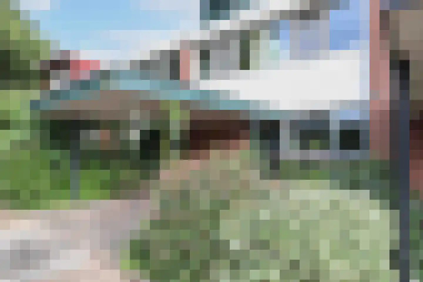 Kolkrijst 121 Hoogland thumbnail 33