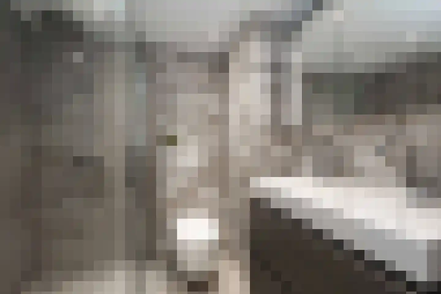 Kolkrijst 121 Hoogland thumbnail 4