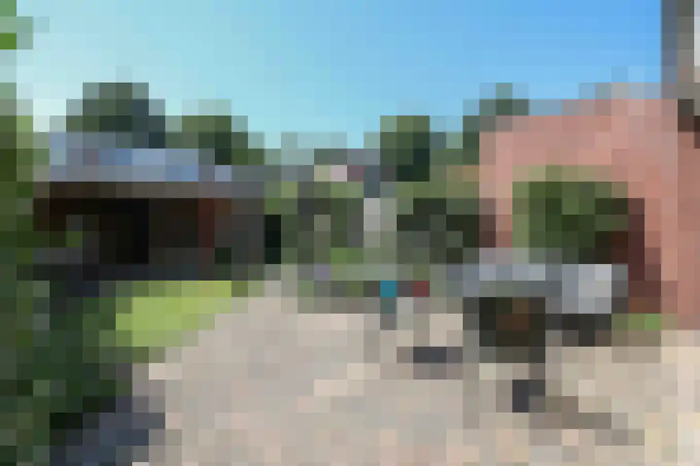 Kolkrijst 121 Hoogland thumbnail 5