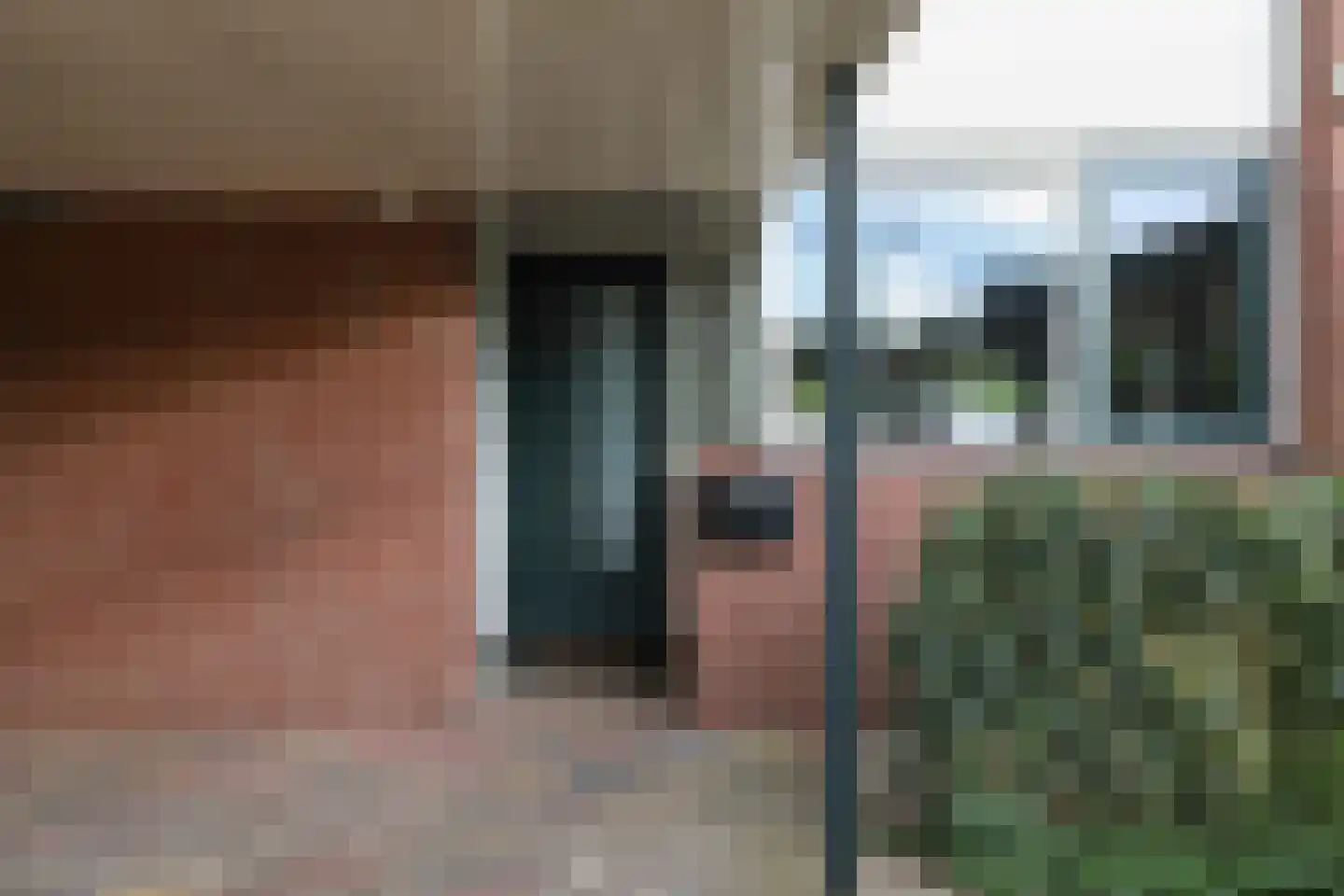 Kolkrijst 121 Hoogland thumbnail 6