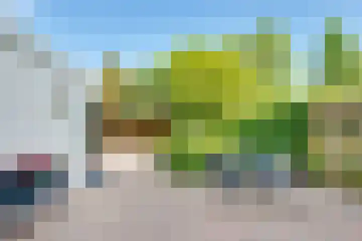 Kolkrijst 151 Hoogland thumbnail 26