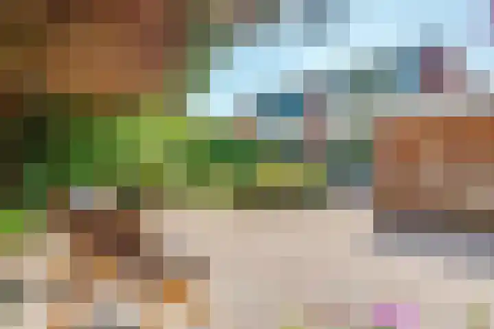 Kolkrijst 151 Hoogland thumbnail 30