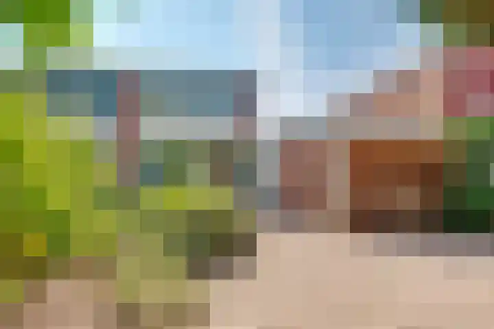 Kolkrijst 151 Hoogland thumbnail 31