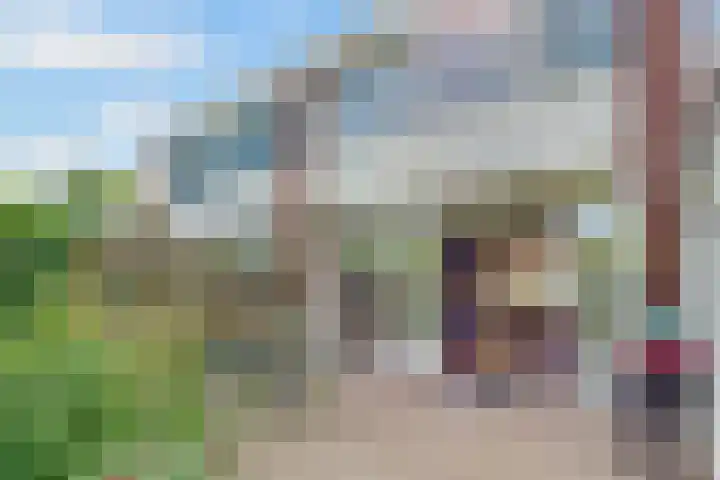 Kolkrijst 151 Hoogland thumbnail 32
