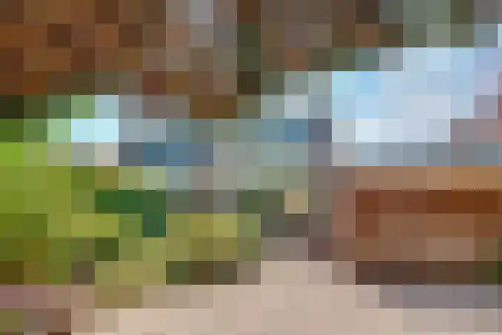 Kolkrijst 151 Hoogland thumbnail 33